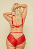 Lace Panties Mind Love