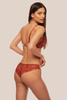 Lace Push-Up Bra Firebird