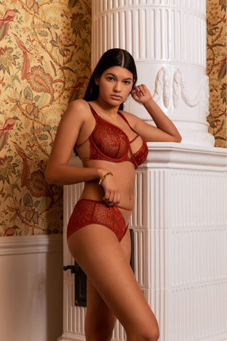 Lace Soft Bra Firebird