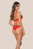 Lace Push-Up Bra Sensual