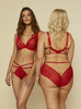 Lace Panties Mind Love