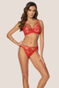 Lace Push-Up Bra Sensual