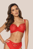 Lace Soft Bra Sensual