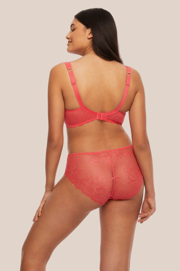 Lace Panties Tropical Candy